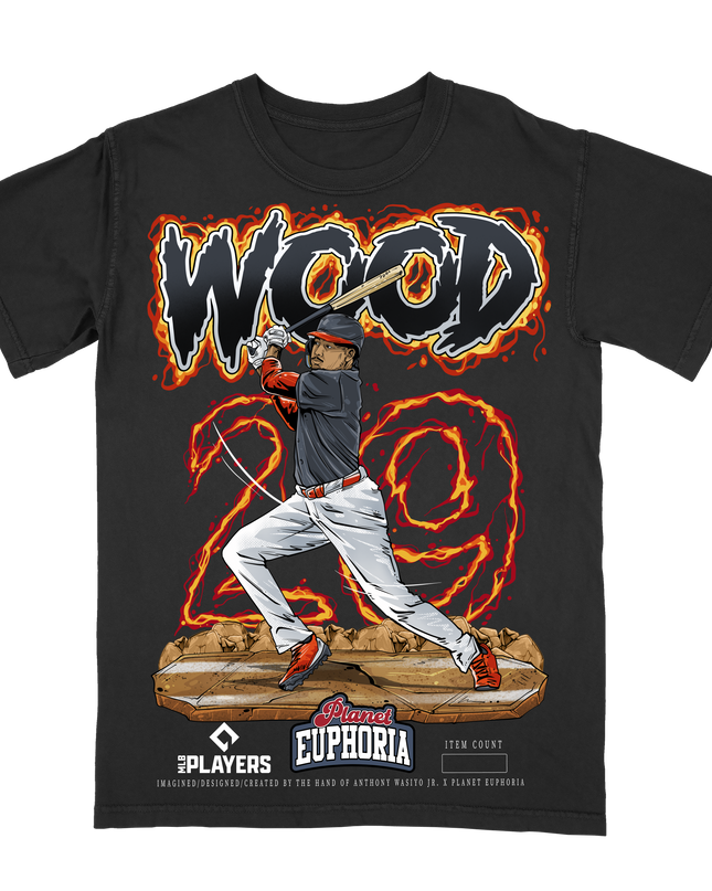 James Wood 29 Washington Nationals baseball graphic t-shirt from Planet Euphoria, black shirt, front view