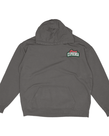 Planet Euphoria Logo graphic hoodie in grey, front view.