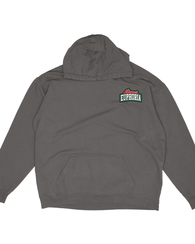 Planet Euphoria Logo graphic hoodie in grey, front view.